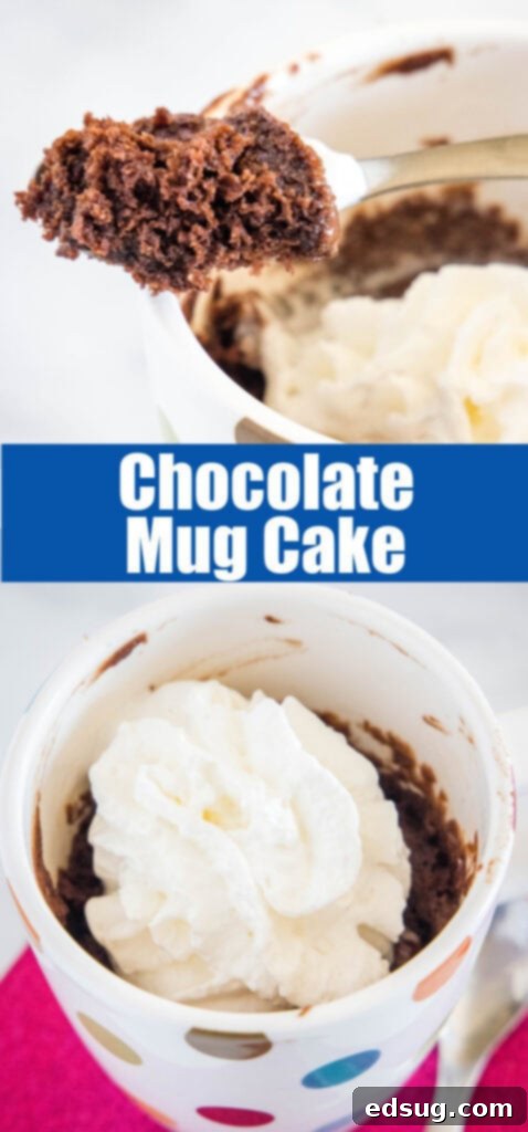 Luscious Chocolate Mug Cake 5 close up mug cake for pinterest