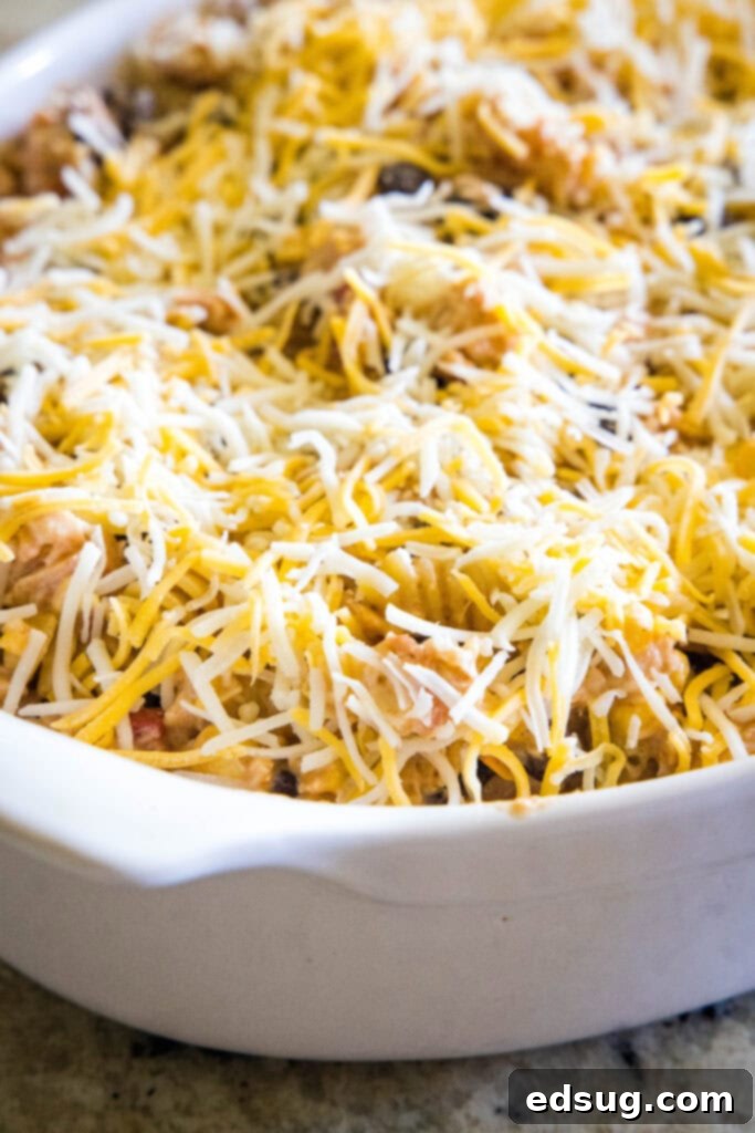 Zesty Southwest Chicken Casserole 4 A close-up shot of the unbaked Fiesta Chicken Casserole in a glass baking dish, ready to be put into the oven, topped with a generous layer of shredded cheese.