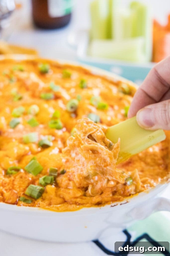 Ultimate Instant Pot Buffalo Chicken Dip 7 a crisp piece of celery being dipped into a luscious bowl of creamy buffalo chicken dip, highlighting the fresh and crunchy contrast