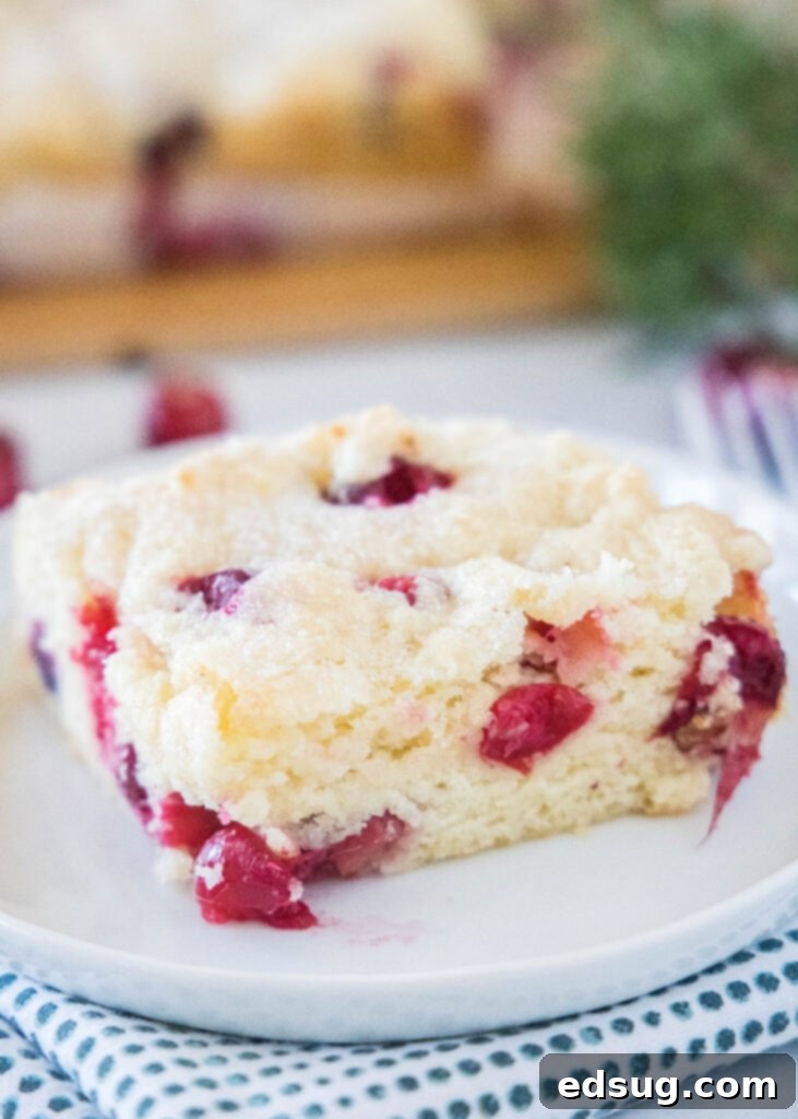 cranberry coffee cake on a plate