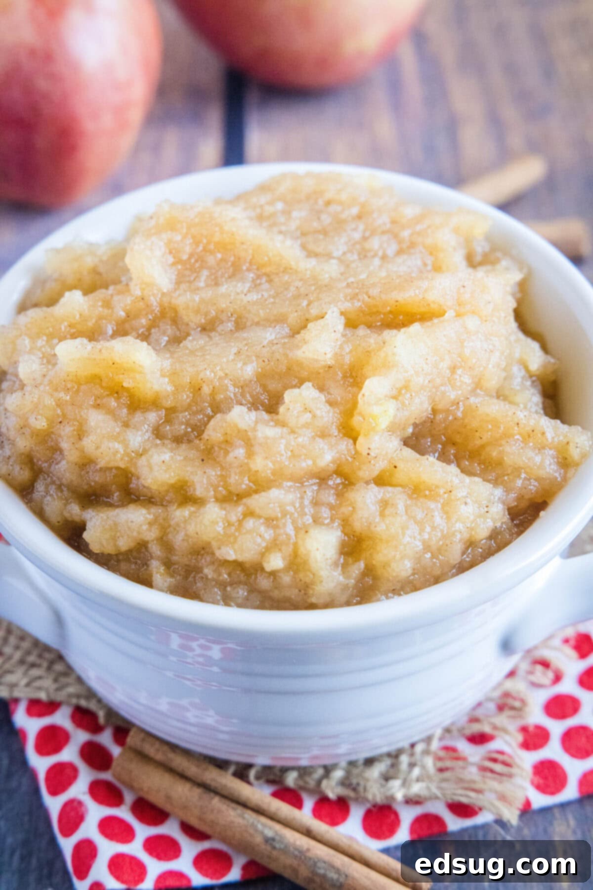 This homemade applesauce recipe is tart, lemony, not too sweet, bursting with apple flavor, and only takes 40 minutes to make.  Close up of a bowl of applesauce