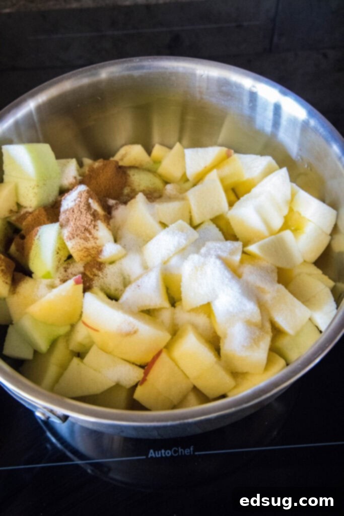 This homemade applesauce recipe is tart, lemony, not too sweet, bursting with apple flavor, and only takes 40 minutes to make.  A pot full of apple cubes, sugar, cinnamon, lemon juice, and water