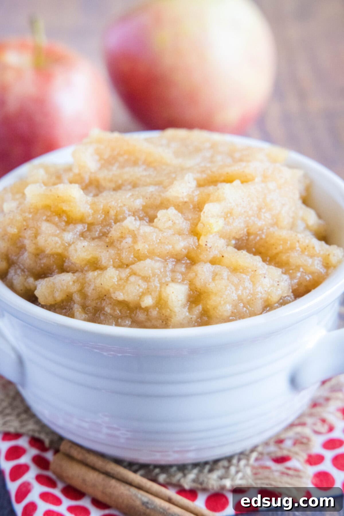 This homemade applesauce recipe is tart, lemony, not too sweet, bursting with apple flavor, and only takes 40 minutes to make.  A bowl of applesauce with two apples in the background