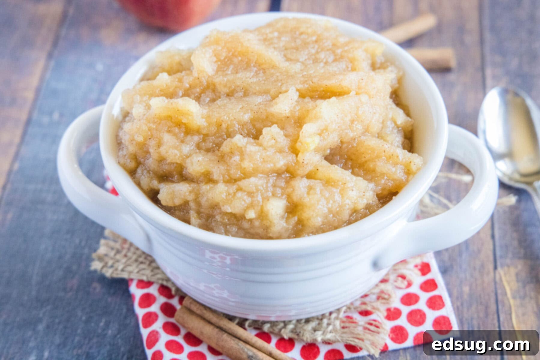 This homemade applesauce recipe is tart, lemony, not too sweet, bursting with apple flavor, and only takes 40 minutes to make.  A bowl of applesauce surrounded by cinnamon sticks and a spoon