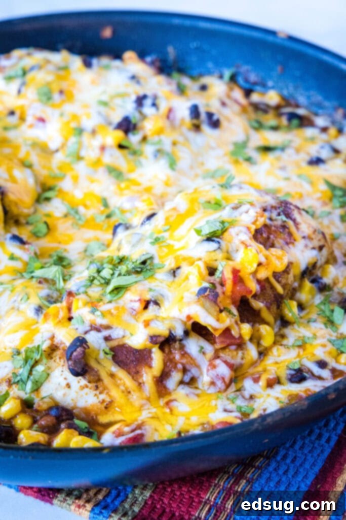 Zesty Santa Fe Chicken 2 Santa Fe Chicken in a skillet topped with cilantro