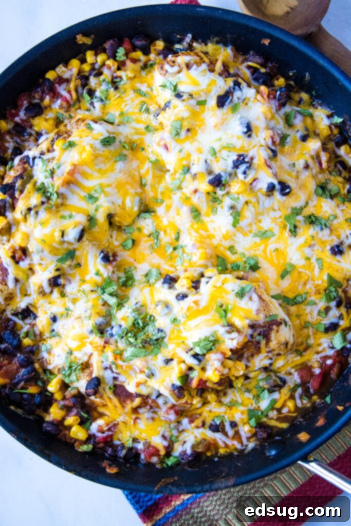 Zesty Santa Fe Chicken 5 looking down on a skillet of santa fe chicken