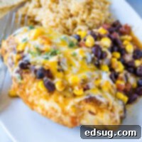 Zesty Santa Fe Chicken 8 close up santa fe chicken on a plate