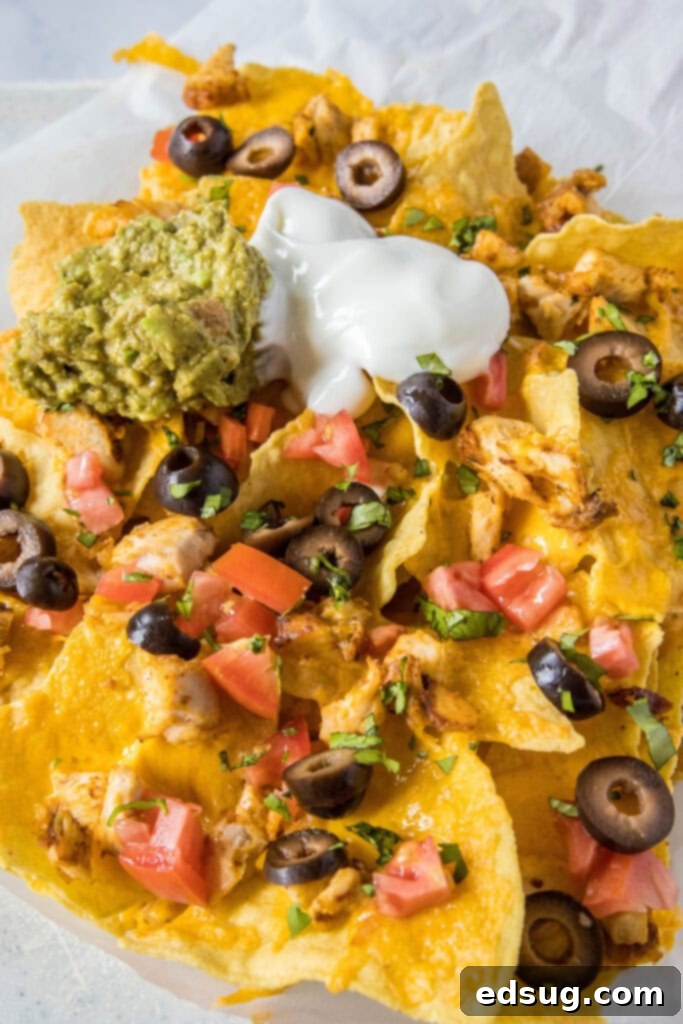chicken nachos on paper topped with gaucamole and sour cream