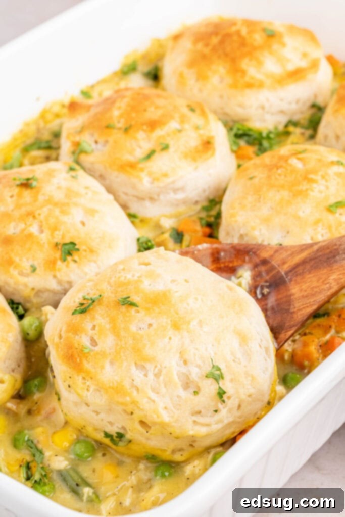 dish of chicken pot pie casserole