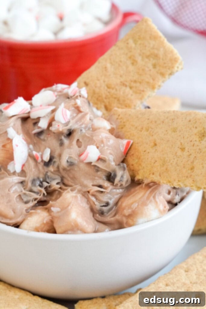 Decadent Hot Chocolate Dip 2 hot chocolate dip with graham crackers