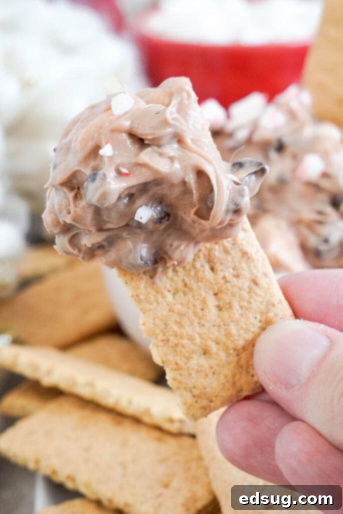 Decadent Hot Chocolate Dip 5 scooping hot chocolate dip onto a graham cracker