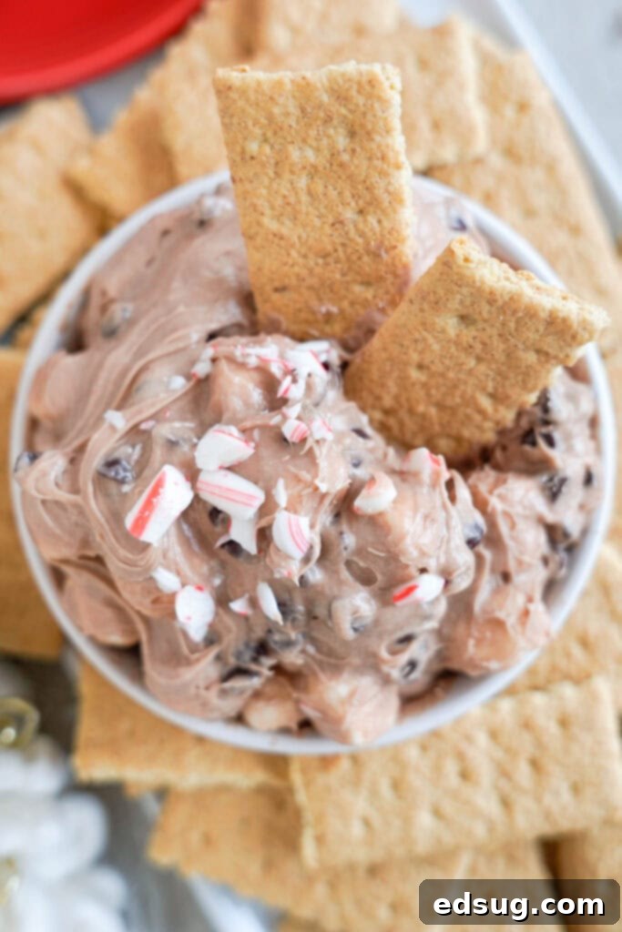 Decadent Hot Chocolate Dip 6 looking down on a bowl of hot chocolate dip