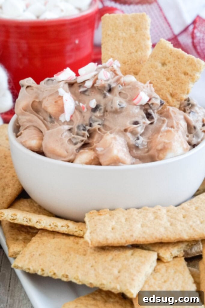 Decadent Hot Chocolate Dip 7 img 54344 6