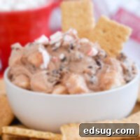 Decadent Hot Chocolate Dip 8 cropped close up hot chocolate dip with peppermint candy on top