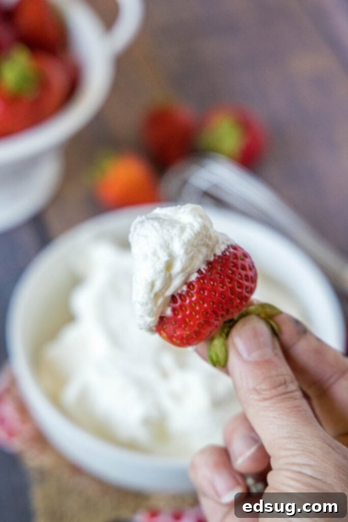 Fluffy Homemade Whipped Cream 7 a fresh strawberry dipped into a bowl of homemade whipped cream