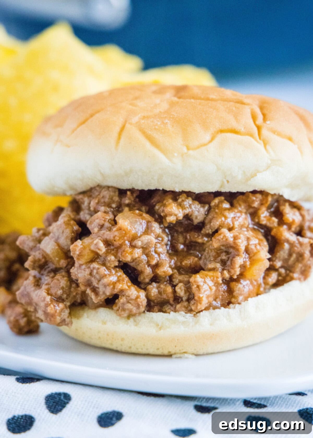 Homemade sloppy joes featuring rich ground beef, sweet tomatoes, tangy mustard, and tender onions, generously piled on soft hamburger buns. A plate with a delicious, saucy sloppy joe sandwich and crispy potato chips on the side, ready to be enjoyed.