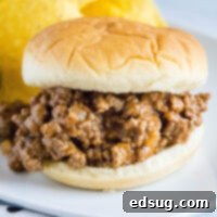 Messy Deliciousness 2 Close up of a sloppy joe sandwich on a plate with chips, emphasizing the rich, saucy beef filling.