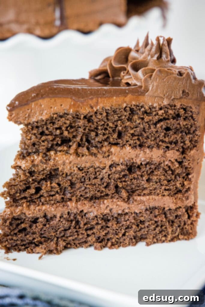 Obsidian Chocolate Cascade Cake 7 a slice of death by chocolate cake on a white plate