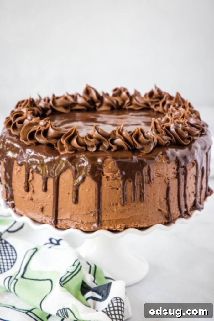 Obsidian Chocolate Cascade Cake 8 death by chocolate drip cake on a cake stand