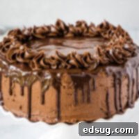 Obsidian Chocolate Cascade Cake 9 chocolate drip cake on a cake plate