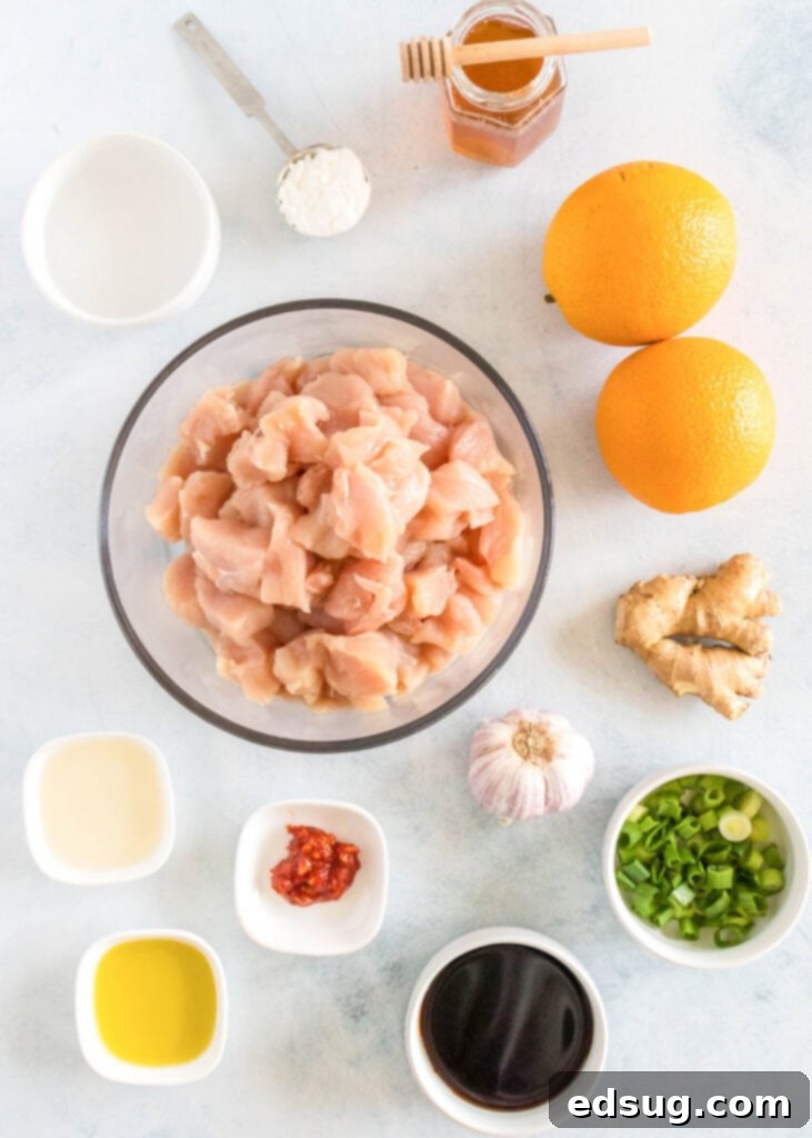 Zesty Orange Chicken 3 A selection of fresh ingredients laid out, including oranges, chicken breast, and various sauce components for orange chicken.