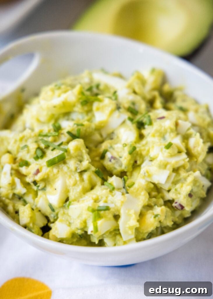 Creamy Avocado Egg Salad 2 creamy avocado egg salad in a white bowl