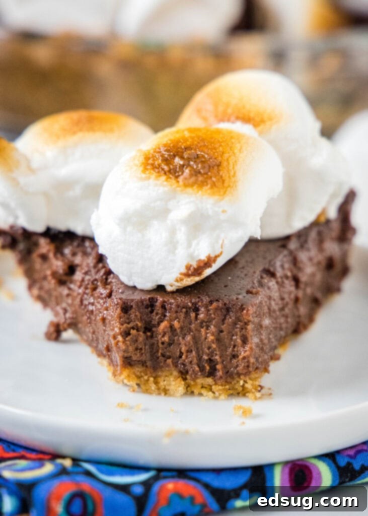 s'mores pie with a bite missing