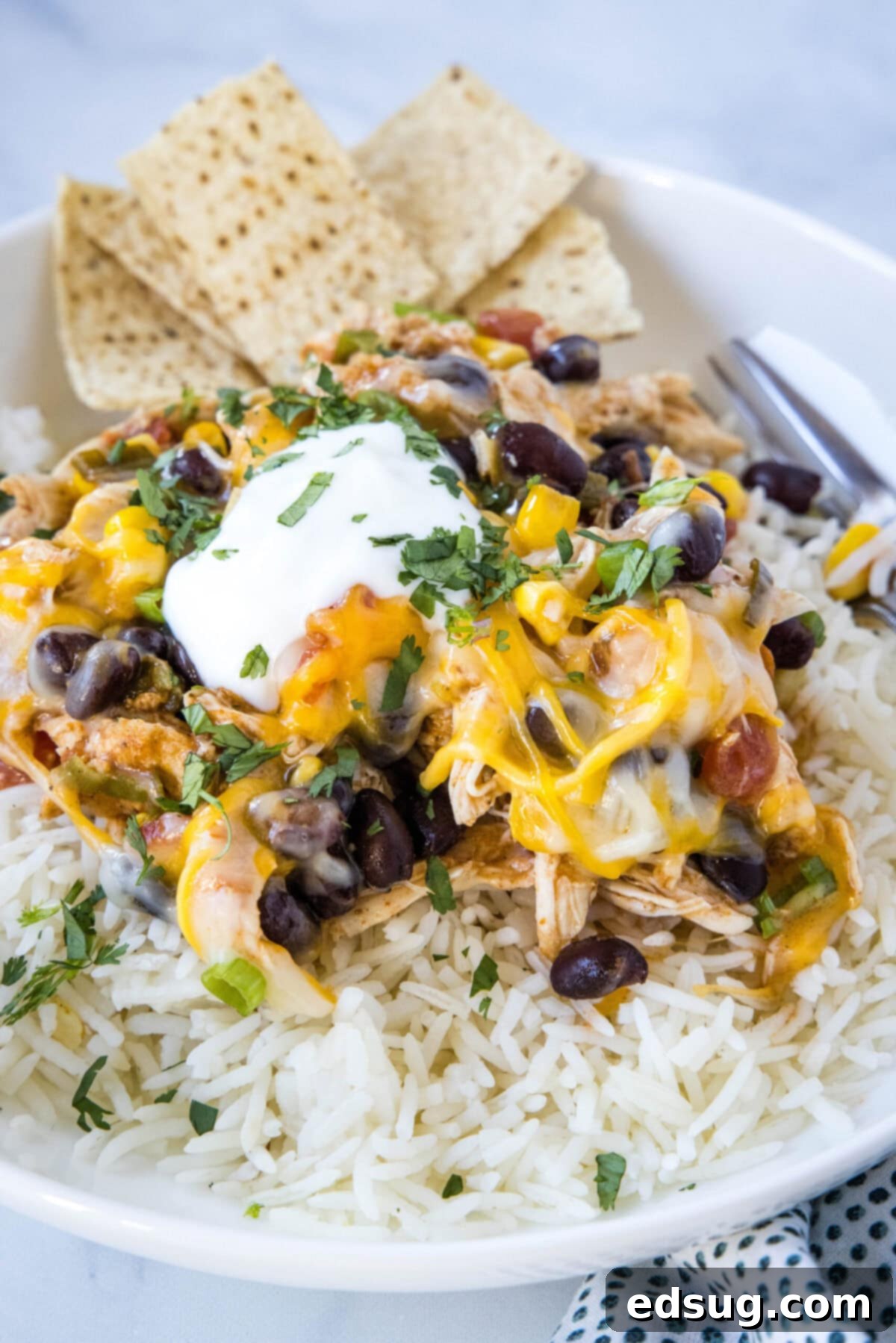 Easy slow cooker Santa Fe chicken is full of tender meat, savory beans, spicy sauce, fresh veggies, and melted cheese, making it a perfect one-pot meal.  Close up of Santa Fe chicken on a bed of rice, topped with sour cream and green onions, with tortilla chips, showing the rich texture and vibrant colors of the dish.