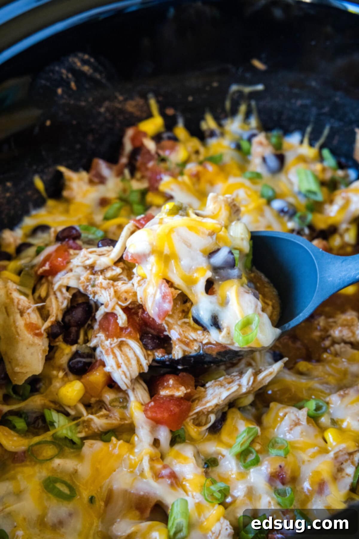 Easy slow cooker Santa Fe chicken is full of tender meat, savory beans, spicy sauce, fresh veggies, and melted cheese, making it a complete and satisfying dish.  Close up of a serving spoon removing a spoonful of Santa Fe chicken from a crock pot, illustrating the ease of serving this delicious meal.