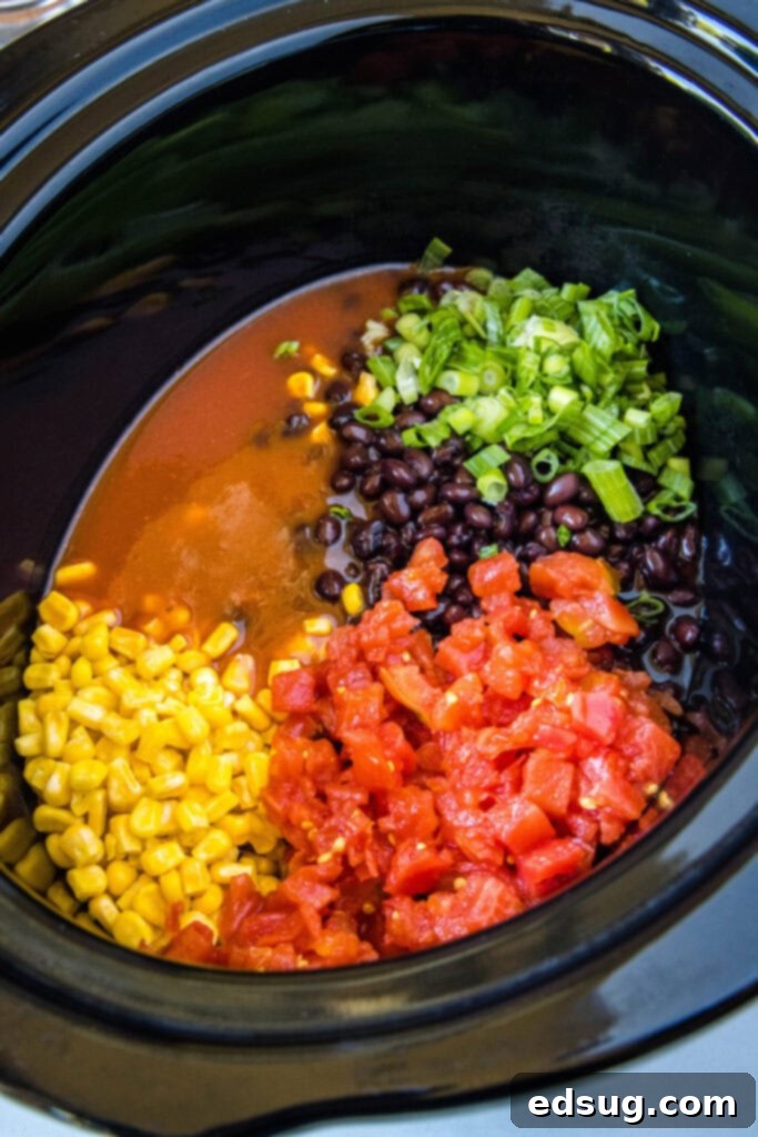 Easy slow cooker Santa Fe chicken is full of tender meat, savory beans, spicy sauce, fresh veggies, and melted cheese, ensuring a flavorful and comforting dish.  Overhead view of a crock pot full of diced tomatoes, corn, black beans, green onions, and enchilada sauce, before adding the chicken.