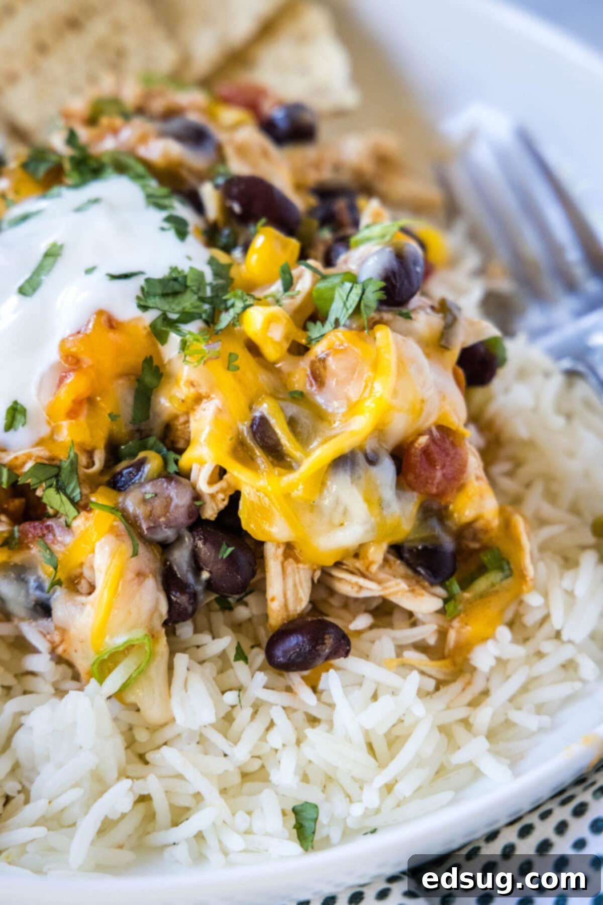 Easy slow cooker Santa Fe chicken is full of tender meat, savory beans, spicy sauce, fresh veggies, and melted cheese, perfect for a flavorful weeknight dinner.  Close up of Santa Fe chicken on a bed of rice, topped with sour cream, next to a fork, showcasing the appetizing texture and garnish.