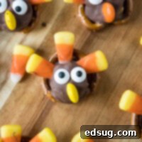 close up turkey pretzel