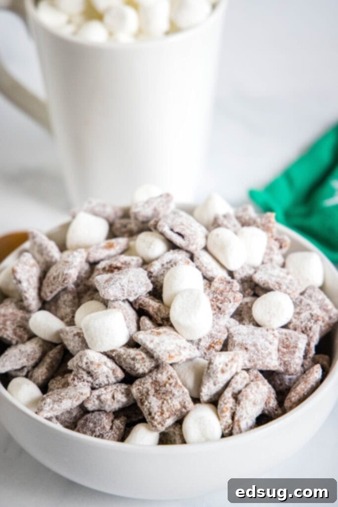 Cozy Cocoa Muddy Buddies 6 Close up of hot chocolate muddy buddies, showing the powdery coating and small marshmallows in detail