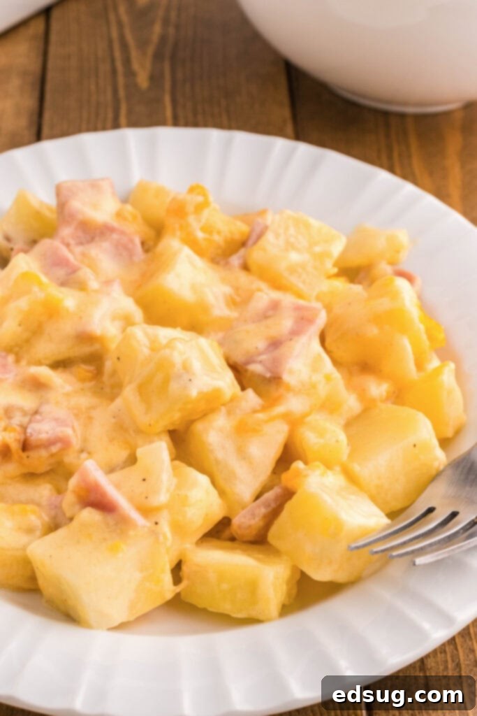 a white plate with cheesy ham and potato casserole