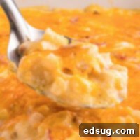 cropped close up ham and potato casserole