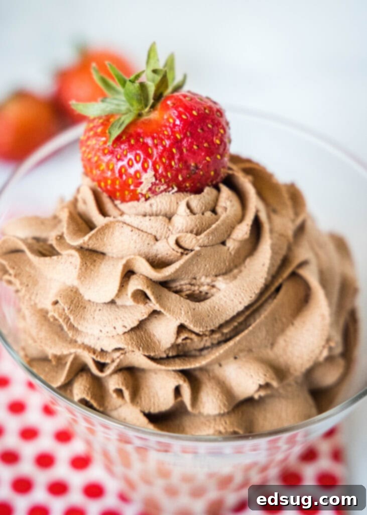 Swirl of Chocolate Bliss 2 cropped close up chocolate whipped cream topped with a strawberry