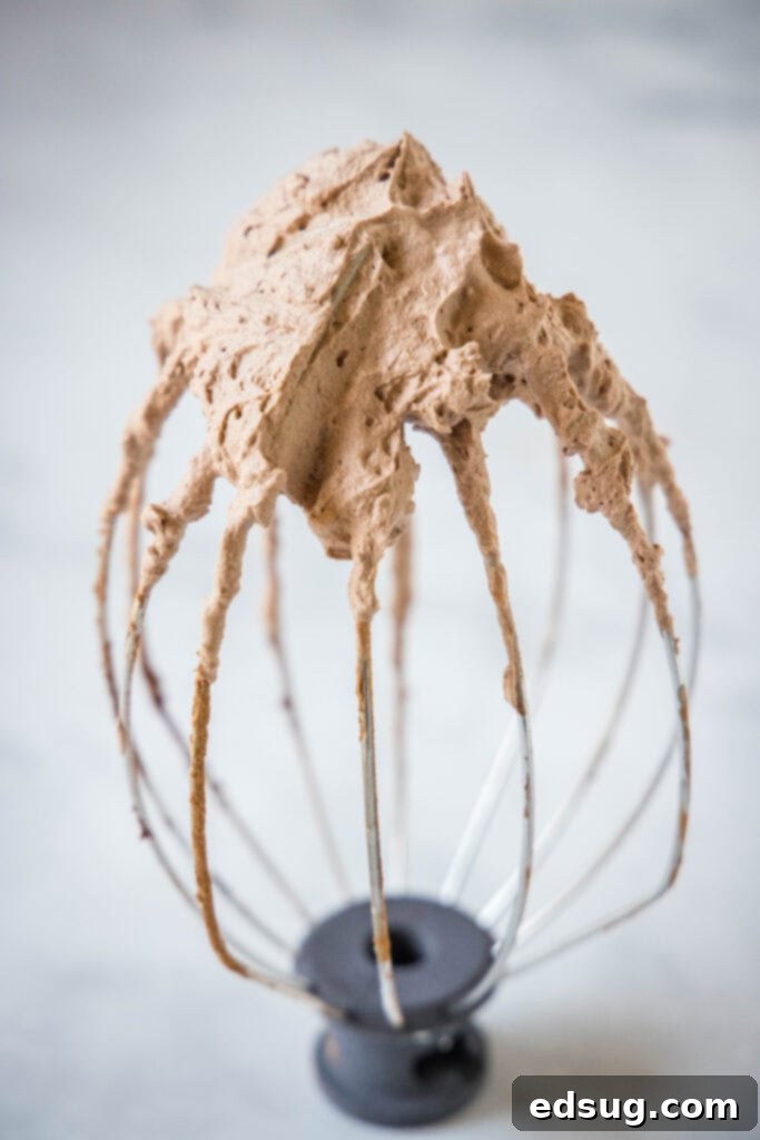 Swirl of Chocolate Bliss 4 whisk attachment with chocolate whipped cream on it