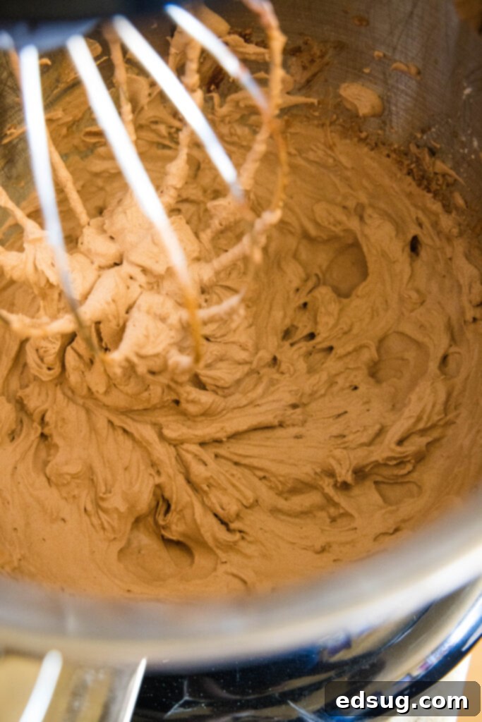 Swirl of Chocolate Bliss 5 mixing bowl with chocolate whipped cream