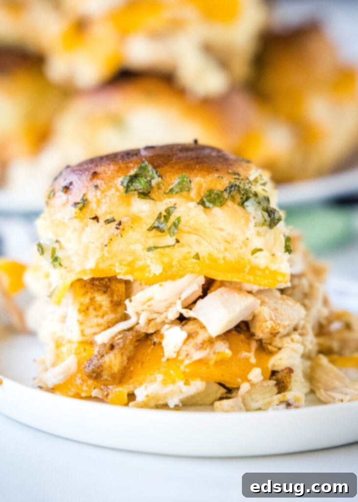 Savory Turkey Sliders 2 turkey slider on a white plate