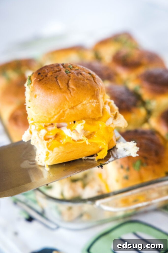 Savory Turkey Sliders 6 a turkey slider on a spatula