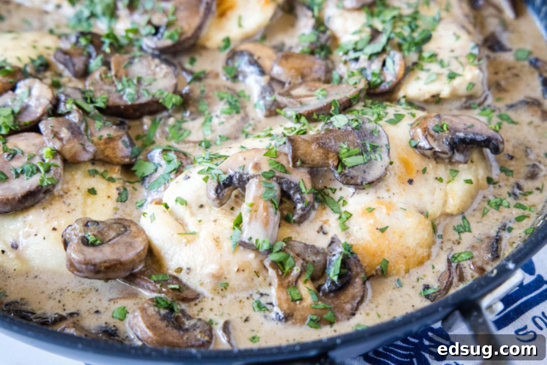 Easy and comforting chicken with mushroom sauce has juicy and tender meat smothered in a rich, herbaceous, and garlicky mushroom cream sauce. Close up of a chicken breast in a skillet covered in mushrooms, parsley, and sauce