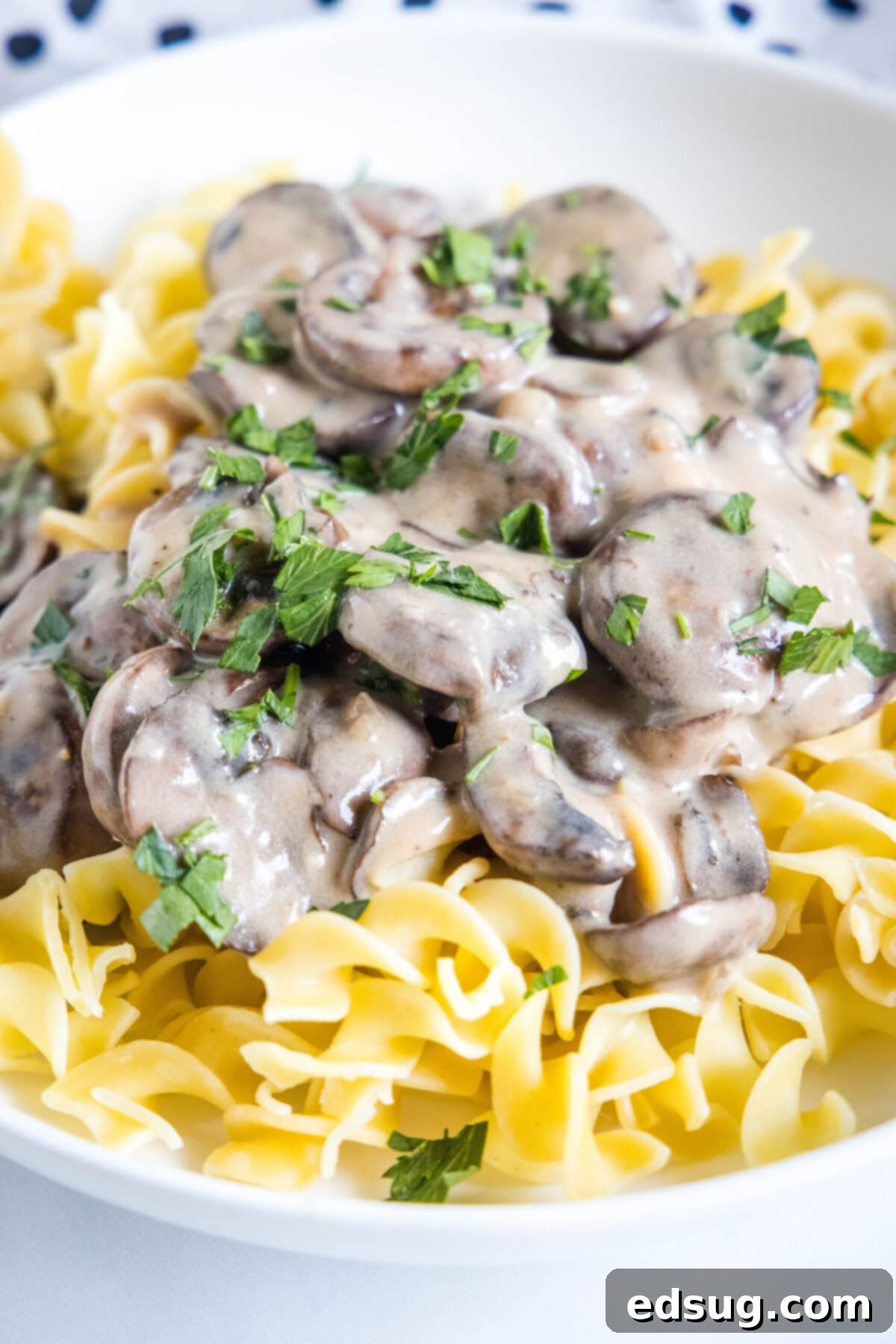 Easy and comforting mushroom stroganoff is loaded with a creamy garlic sauce full of hearty mushrooms, and served over buttery noodles. Close up of creamy mushroom stroganoff served over a bed of tender egg noodles, garnished with fresh herbs.
