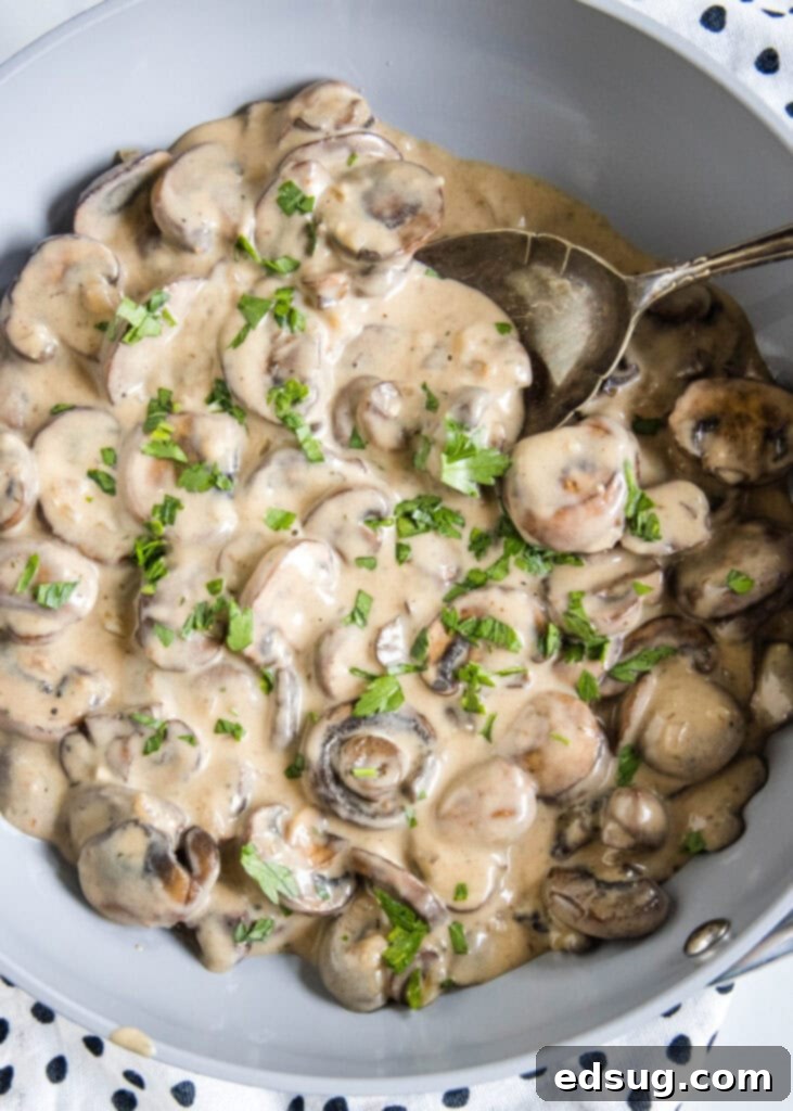 Easy and comforting mushroom stroganoff is loaded with a creamy garlic sauce full of hearty mushrooms, and served over buttery noodles. Overhead view of a beautiful, steaming bowl of mushroom stroganoff, ready to be enjoyed with a spoon resting in it.