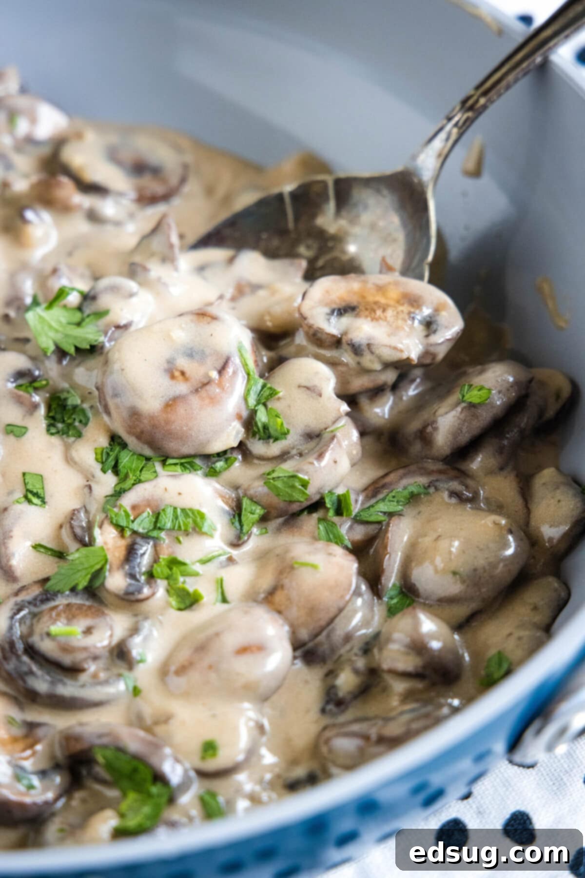 Easy and comforting mushroom stroganoff is loaded with a creamy garlic sauce full of hearty mushrooms, and served over buttery noodles. Close up of a skillet filled with rich, creamy mushroom stroganoff, with a wooden spoon ready to serve.