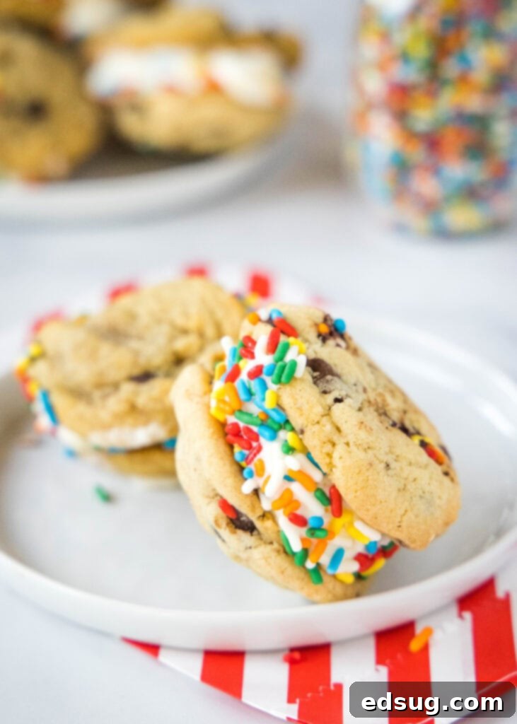 Plate of finished cookie ice cream sandwiches, some with sprinkles