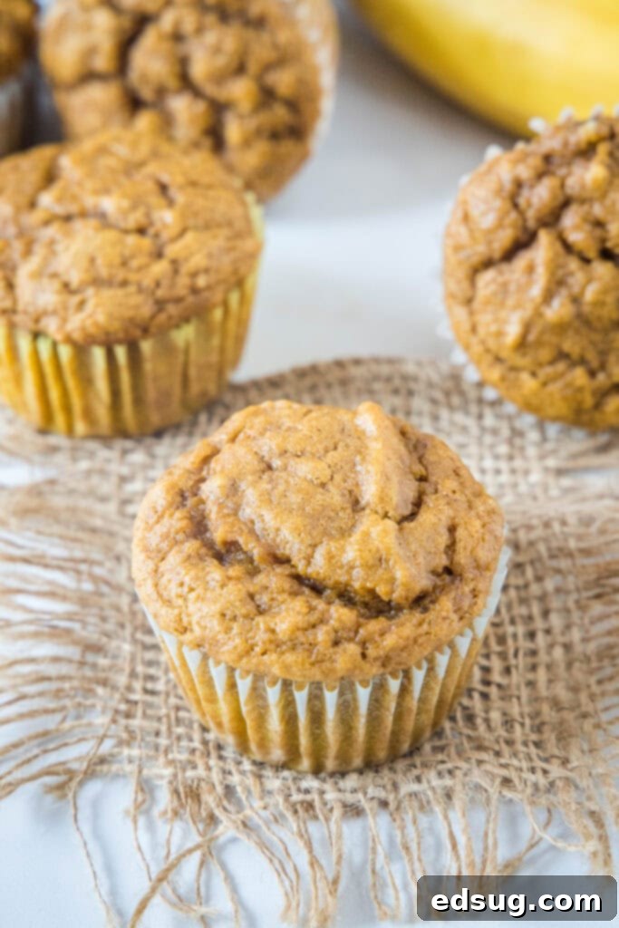 Spiced Pumpkin Banana Muffins 2 pumpkin banana muffins on the counter