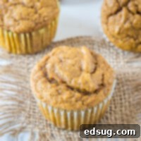 Spiced Pumpkin Banana Muffins 8 cropped close up pumpkin banana muffin