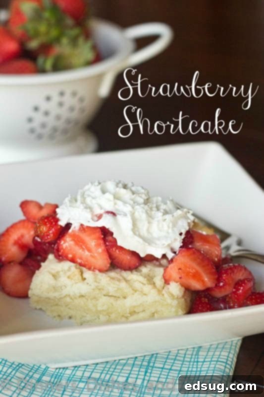 Strawberry Shortcake strawberry shortcake on a plate