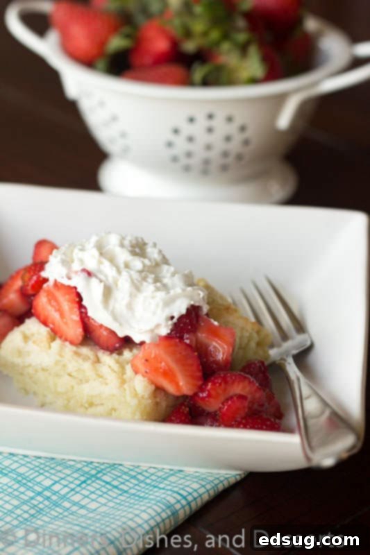 Strawberry Shortcake strawberry shortcake on a plate