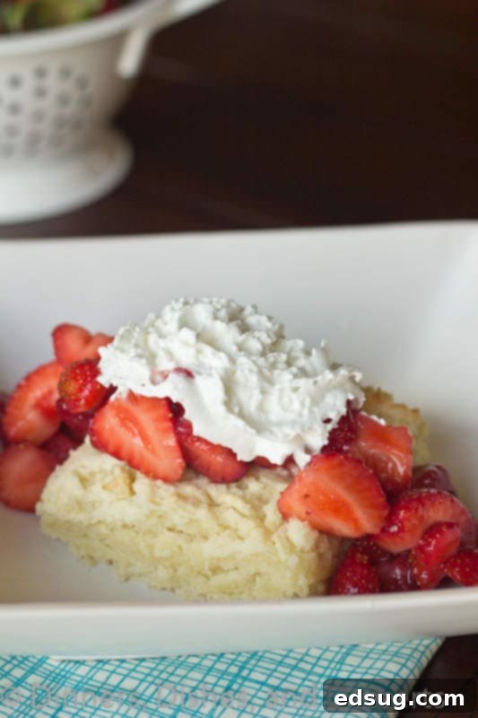 Strawberry Shortcake strawberry shortcake on a plate